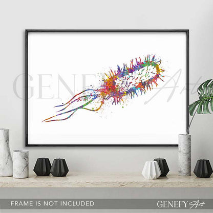 Listeria Monocytogenes Watercolour Print