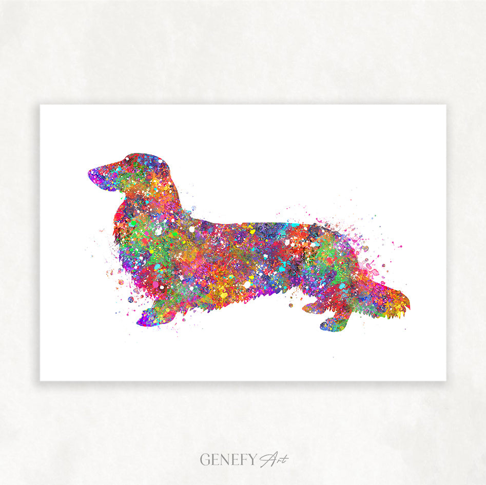 Longhaired  Dachshund Watercolour Print