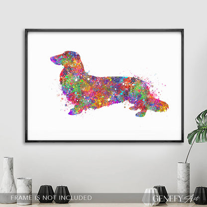 Longhaired  Dachshund Watercolour Print