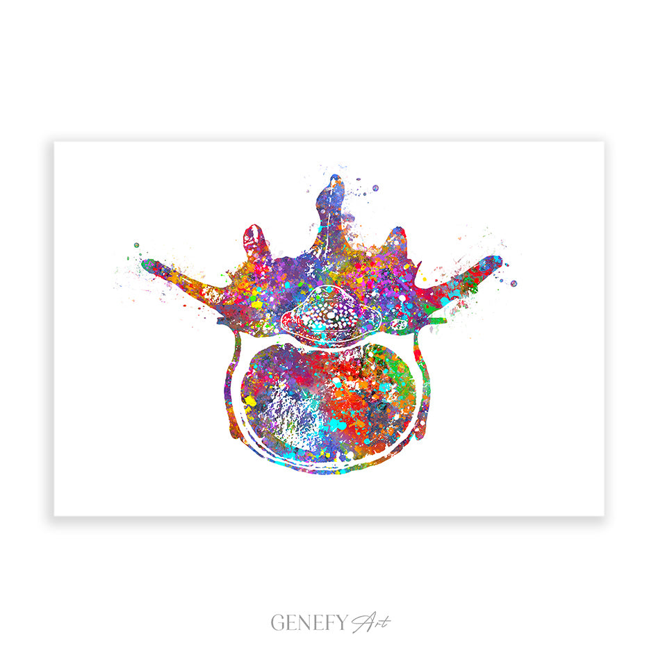 Lumbar Spine Cross Section Anatomy Watercolour Print