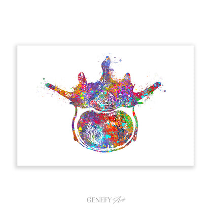 Lumbar Spine Cross Section Anatomy Watercolour Print