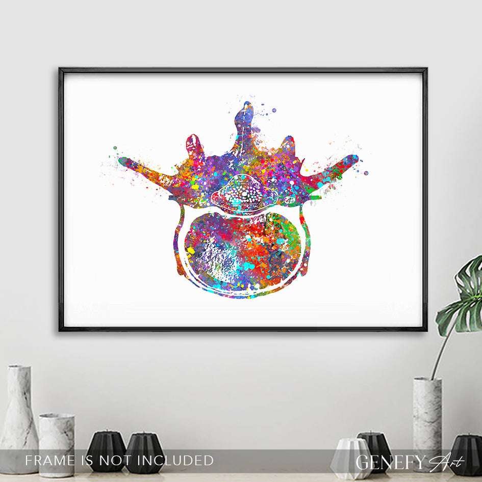 Lumbar Spine Cross Section Anatomy Watercolour Print