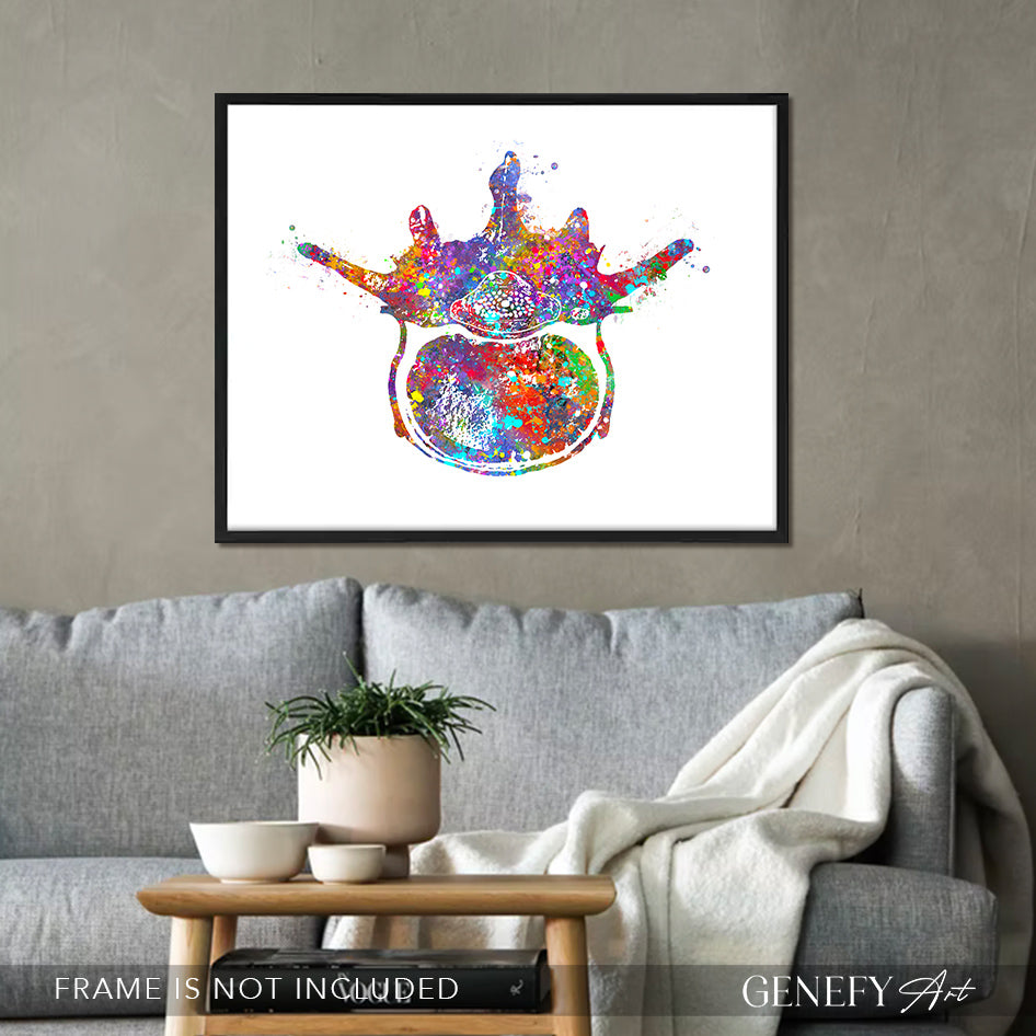 Lumbar Spine Cross Section Anatomy Watercolour Print