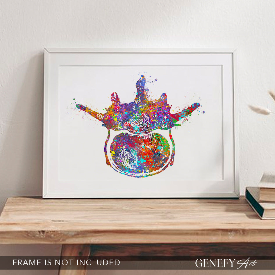 Lumbar Spine Cross Section Anatomy Watercolour Print