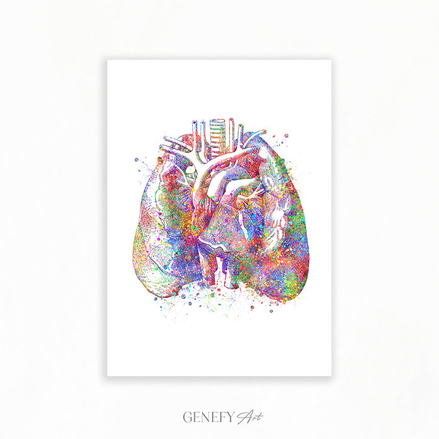 Lungs and Heart Anatomy Art Print