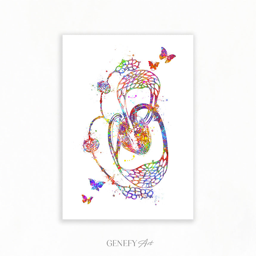 Lymphatic System Art Print