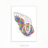 Molar Teeth Watercolour Print - Genefy Art