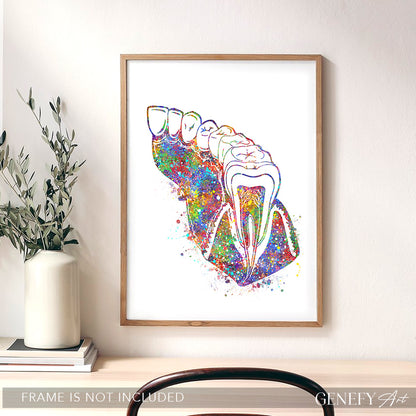 Molar Teeth Watercolour Print - Genefy Art