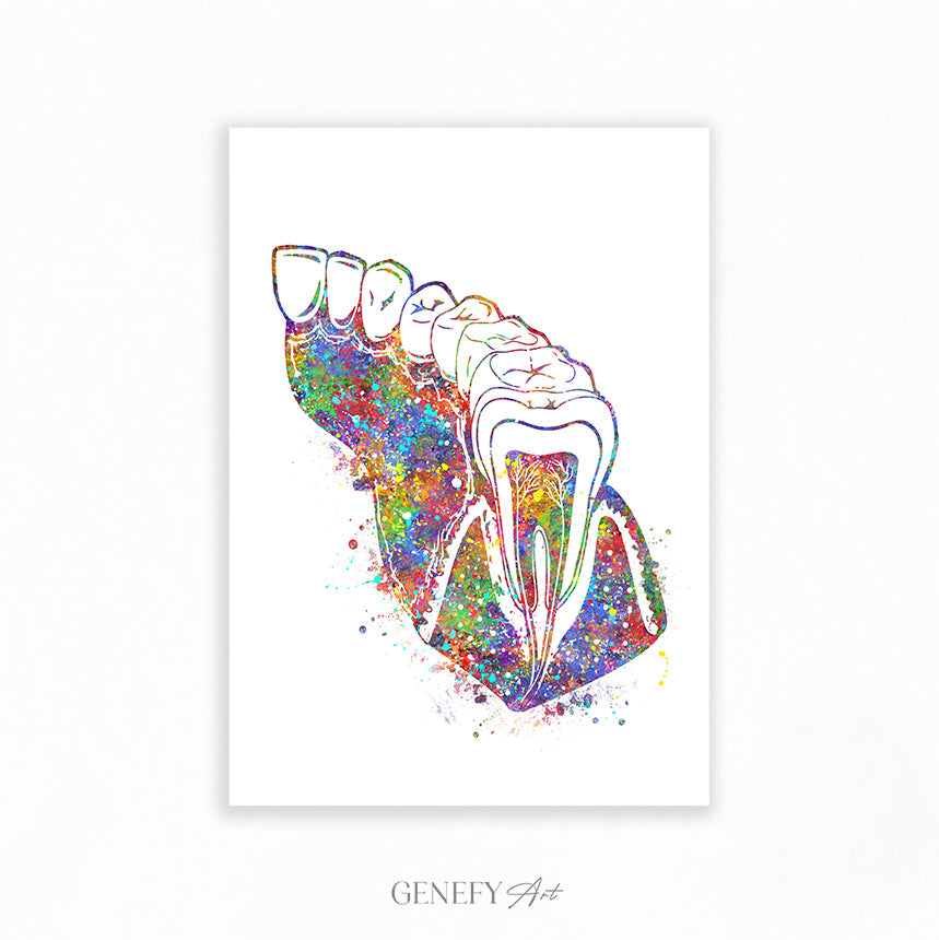 Molar Teeth Watercolour Print - Genefy Art
