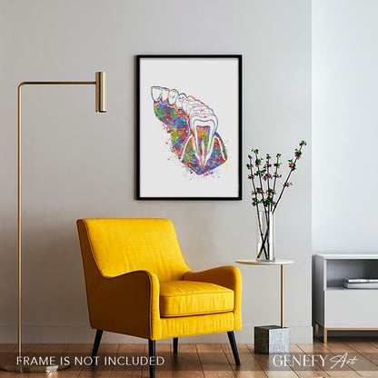 Molar Teeth Watercolour Print - Genefy Art