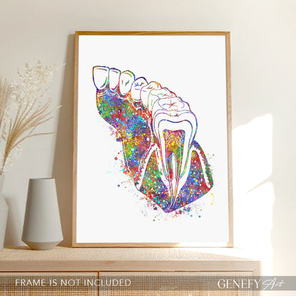 Molar Teeth Watercolour Print - Genefy Art