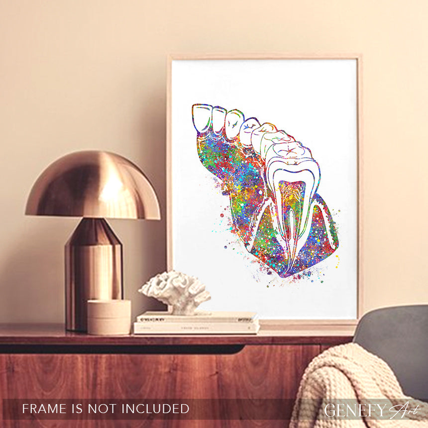 Molar Teeth Watercolour Print - Genefy Art