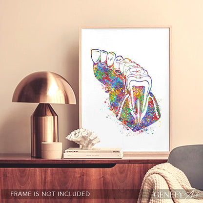 Molar Teeth Watercolour Print - Genefy Art