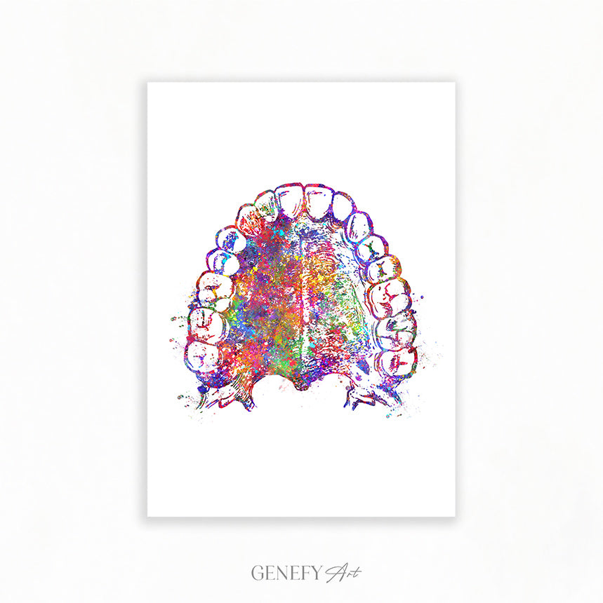 Mouth Anatomy Watercolour Print - Genefy Art