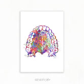 Mouth Anatomy Watercolour Print - Genefy Art