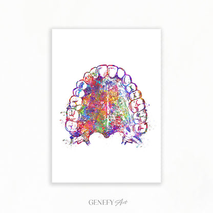 Mouth Anatomy Watercolour Print - Genefy Art