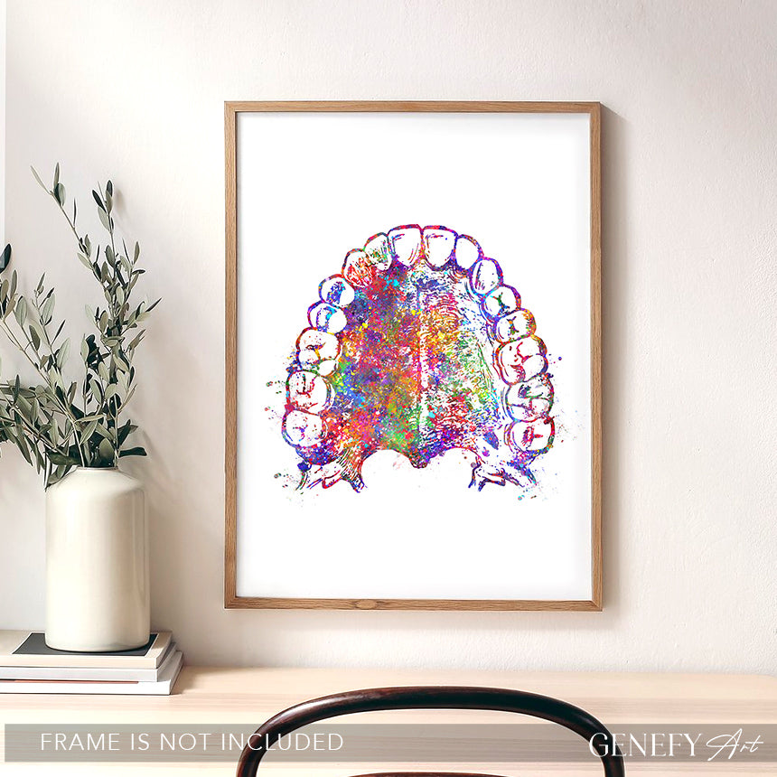 Mouth Anatomy Watercolour Print - Genefy Art