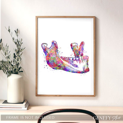 Maxillary Bone Art Print