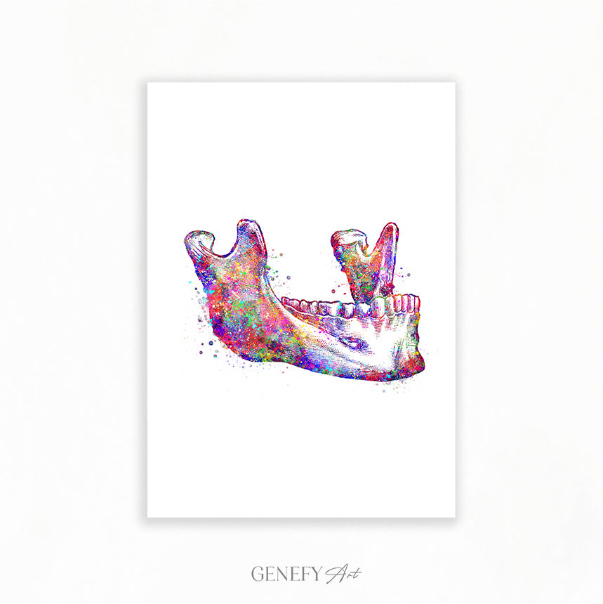 Maxillary Bone Art Print