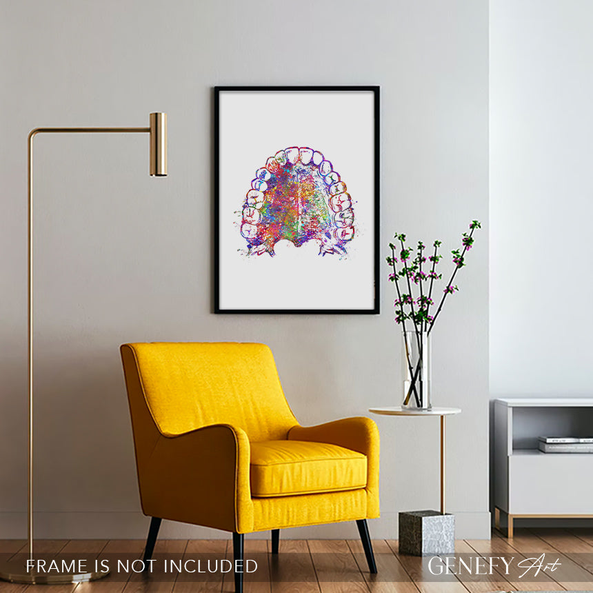 Mouth Anatomy Watercolour Print - Genefy Art