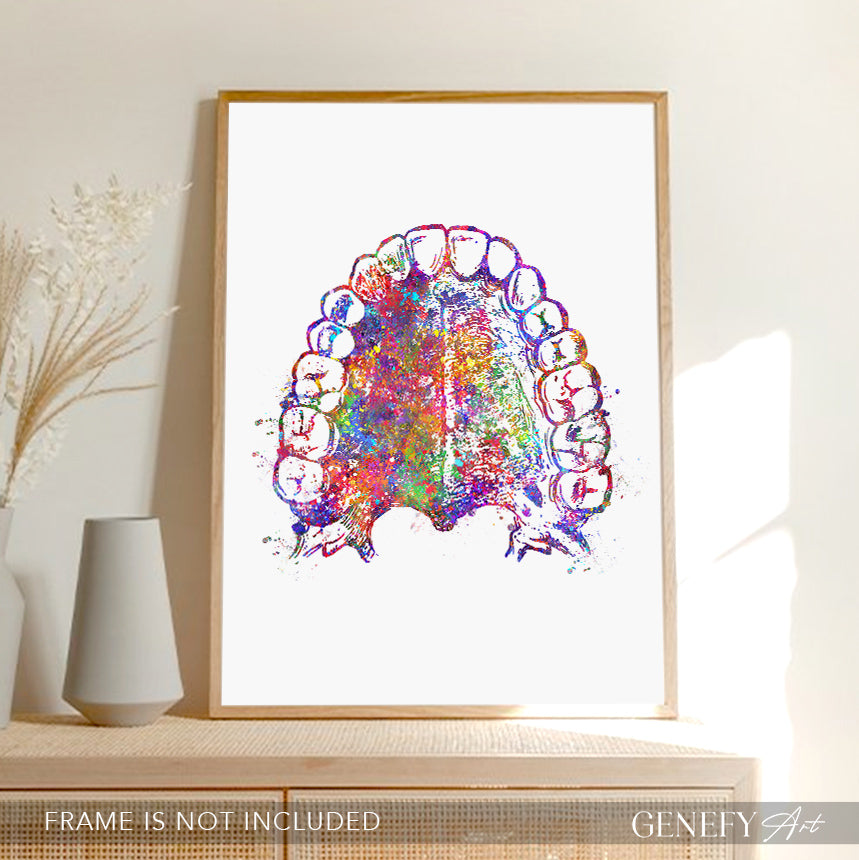 Mouth Anatomy Watercolour Print - Genefy Art