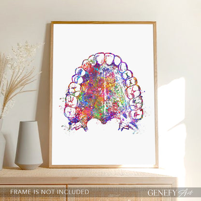 Mouth Anatomy Watercolour Print - Genefy Art