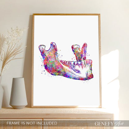 Maxillary Bone Art Print