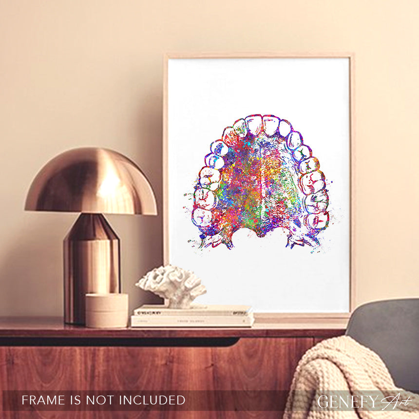 Mouth Anatomy Watercolour Print - Genefy Art