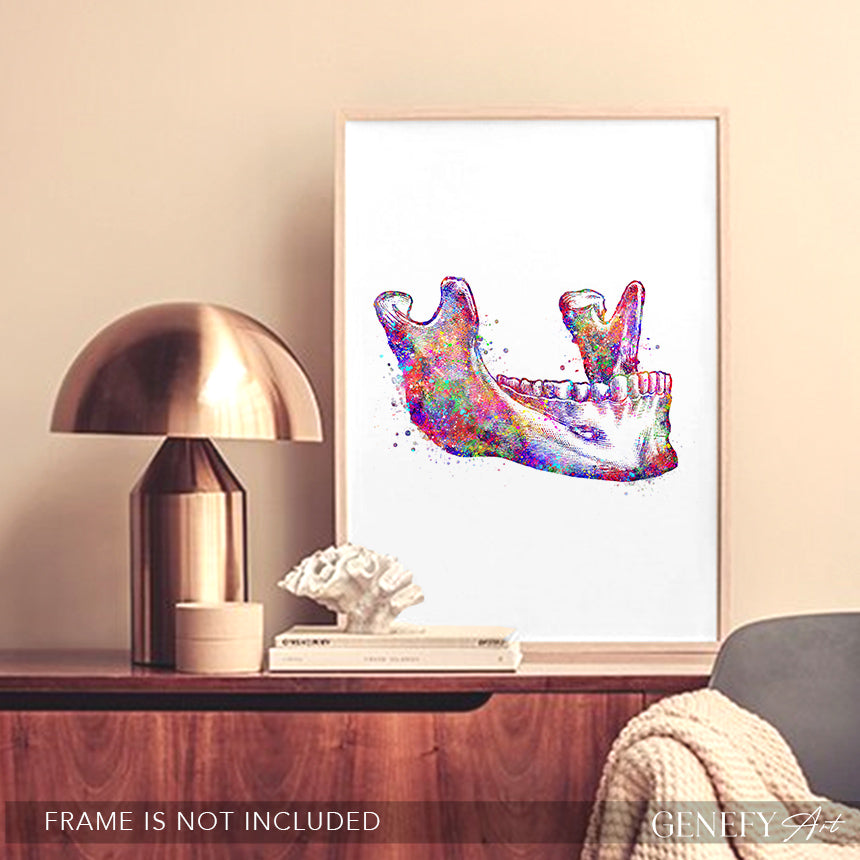 Maxillary Bone Art Print