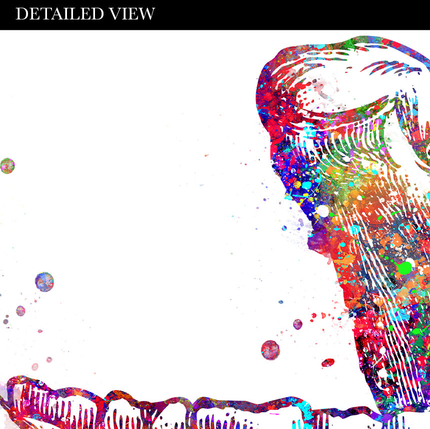 Maxillary Bone Art Print