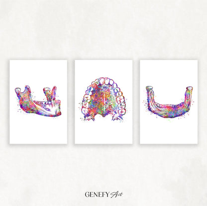 Dental Office Art Print Set of 3