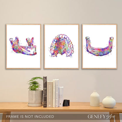 Dental Office Art Print Set of 3