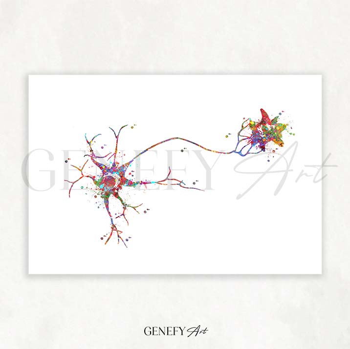 Multipolar Neuron Watercolour Print - Genefy Art