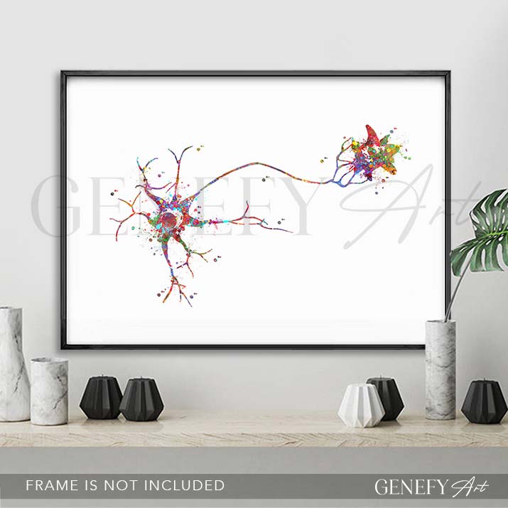 Multipolar Neuron Watercolour Print - Genefy Art