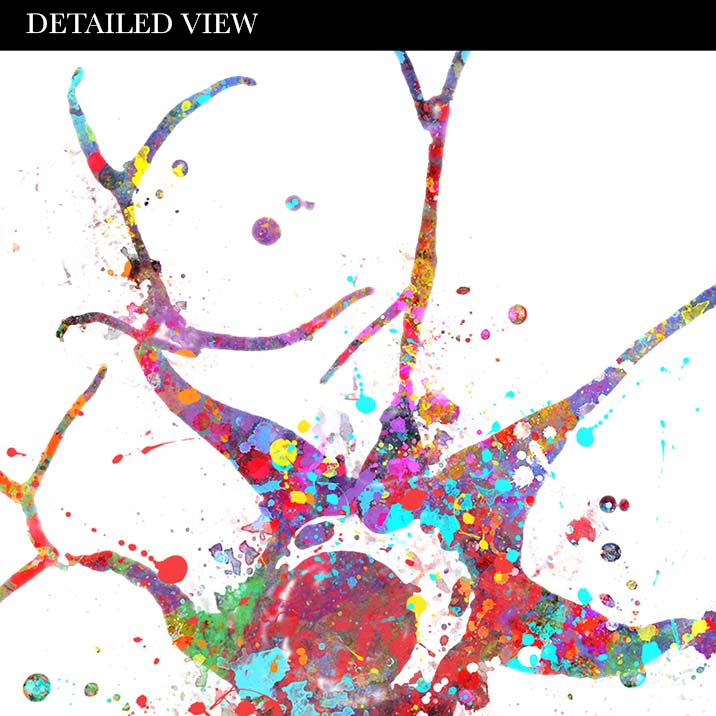 Multipolar Neuron Watercolour Print - Genefy Art