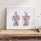 Muscular System Anatomy Watercolour Print - Genefy Art