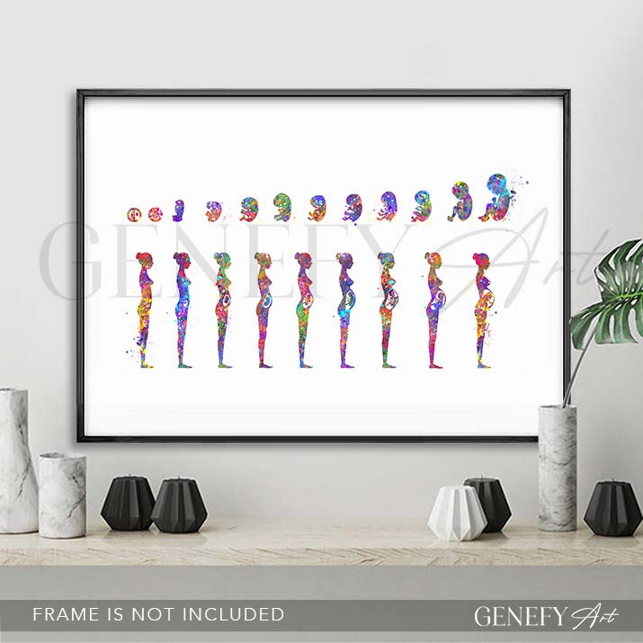 Pregnancy Stages Watercolour Art Print