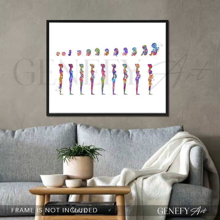 Pregnancy Stages Watercolour Art Print