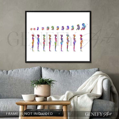 Pregnancy Stages Watercolour Art Print