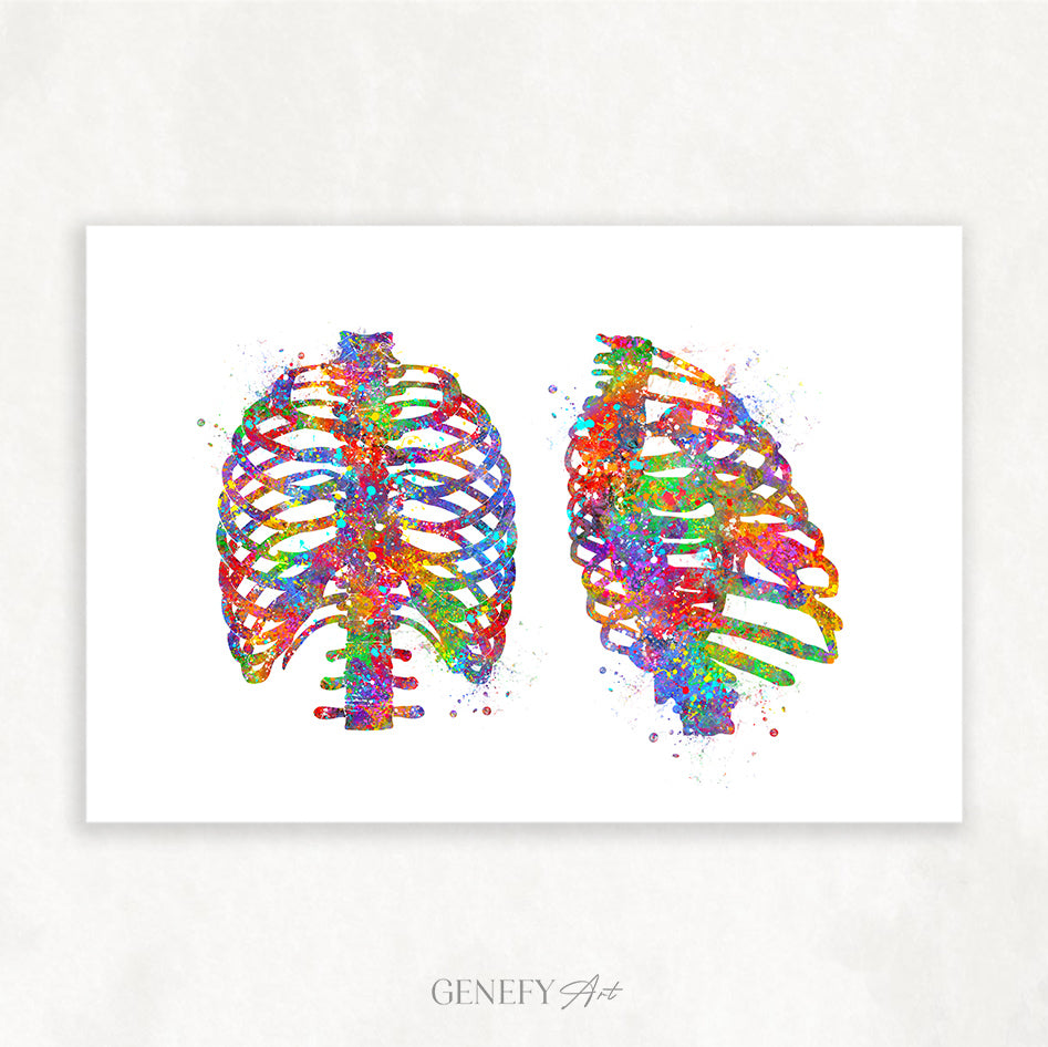 Rib Cage Anatomy Art Print