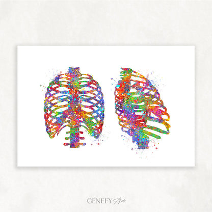 Rib Cage Anatomy Art Print