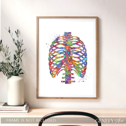Rib Cage Anatomy Art Print