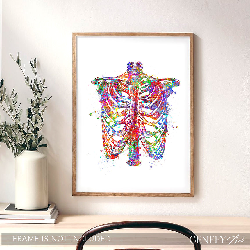 Rib Cage Anatomy Art Print