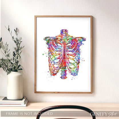 Rib Cage Anatomy Art Print
