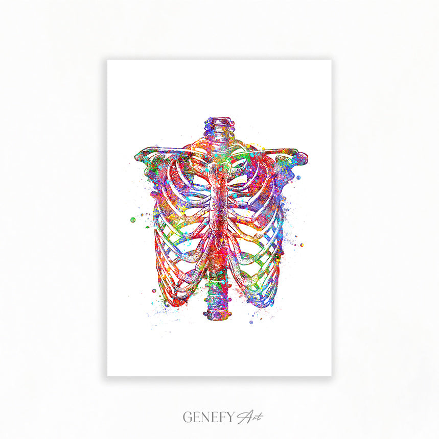 Rib Cage Anatomy Art Print