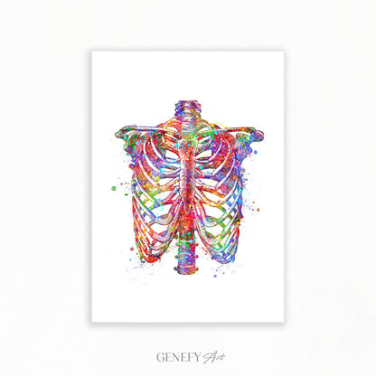 Rib Cage Anatomy Art Print