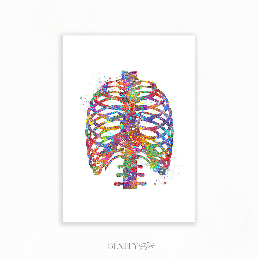 Rib Cage Anatomy Art Print