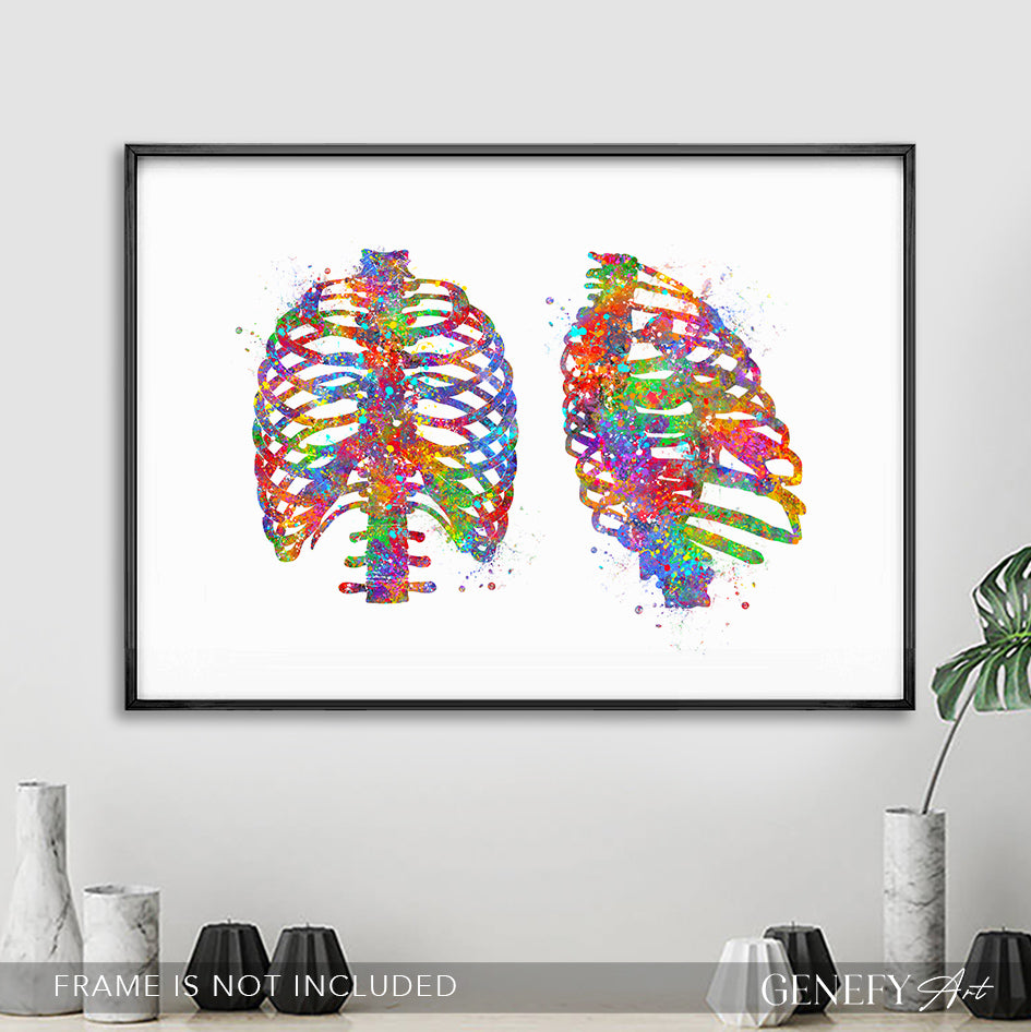 Rib Cage Anatomy Art Print