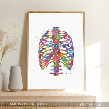 Rib Cage Anatomy Art Print