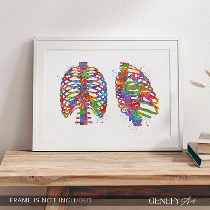 Rib Cage Anatomy Art Print